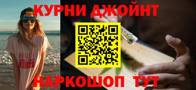 гидропоника Камышлов
