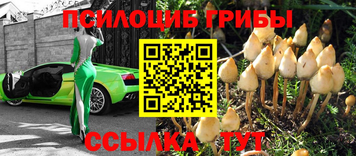 Галлюциногенные грибы прущие грибы Кинешма